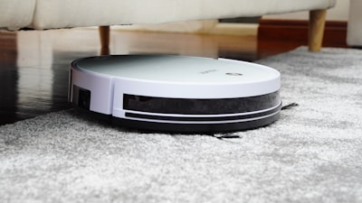 Carpet Cleaning Auckland